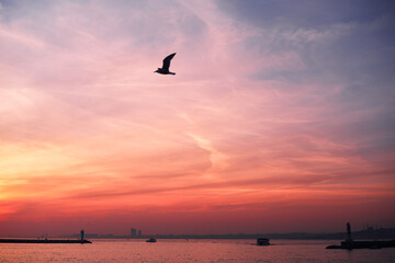 Fototapeta premium Bird silhouette above calm water at vivid pink sunset, with lighthouses and distant skyline creating a serene harbor panorama.