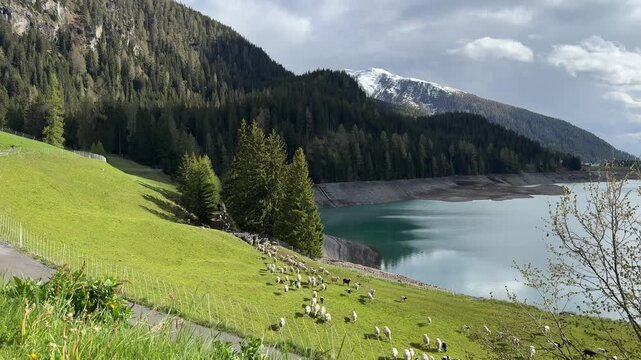 Alpine landscape with mountain lake pine trees and snow capped peaks Davos Switzerland