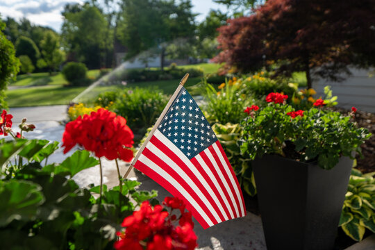 Small American Flag Among Red Geraniums in Suburban Garden Setting