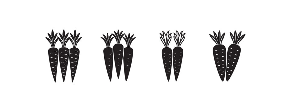  quantities on white background for food illustration  various bunching and pairing of carrots