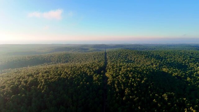 Hourtin Lake, Drone Footage, France