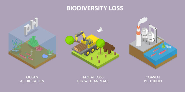 3D Isometric Flat Vector Illustration of Biodiversity Loss, Outline Of Problems And Causes Of Loss Of Biodiversity Due To Climate Change And Wildlife Issues.
