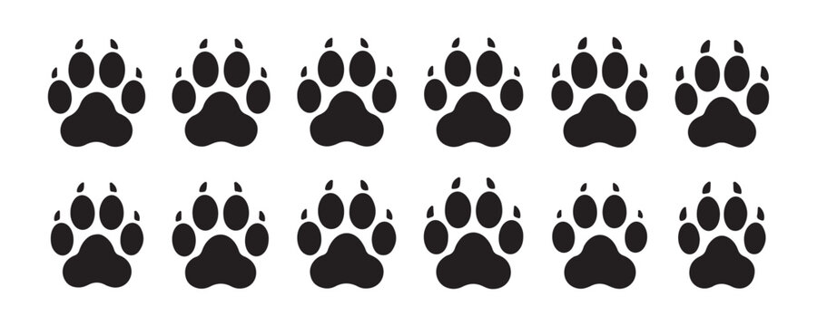 Paw print set, puppy or kitten footprint, animal trace vector design element.
