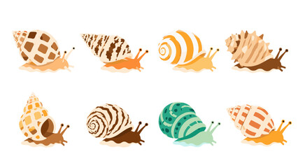 Set of colorful sea snail shells with mollusks in flat vector style © Alan