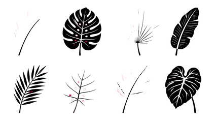 Set of tropical leaf silhouettes and line art botanical elements © Alan