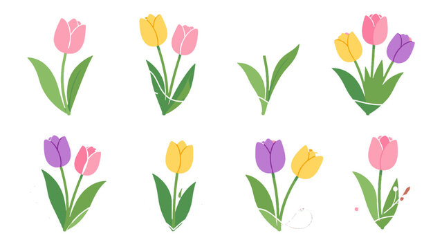 Set of colorful tulip flower arrangements in flat vector style