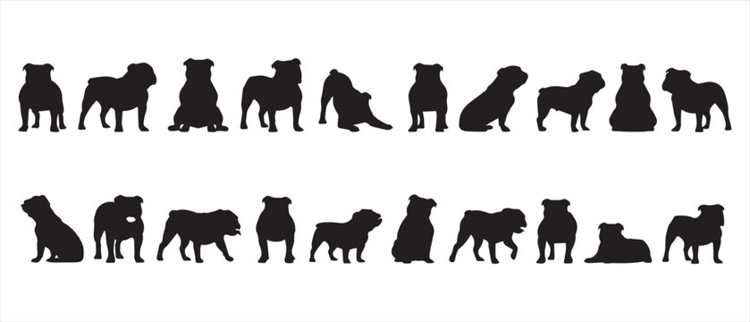 Detailed silhouettes of english bulldog breed in various poses for creative graphic design