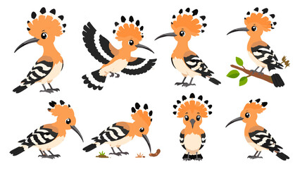 Cartoon hoopoe bird set with multiple poses and perched branch © Alan