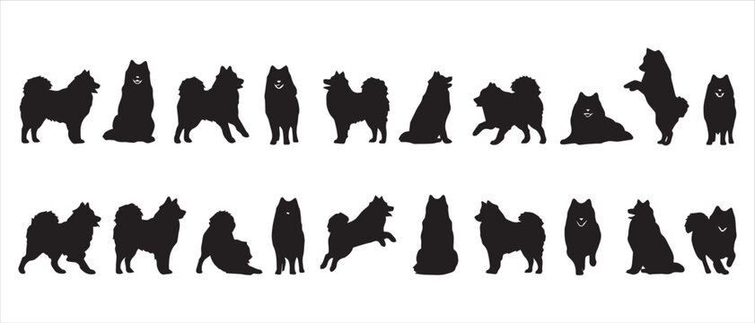 Collection of black silhouettes of Samoyed dogs in various poses isolated on white background