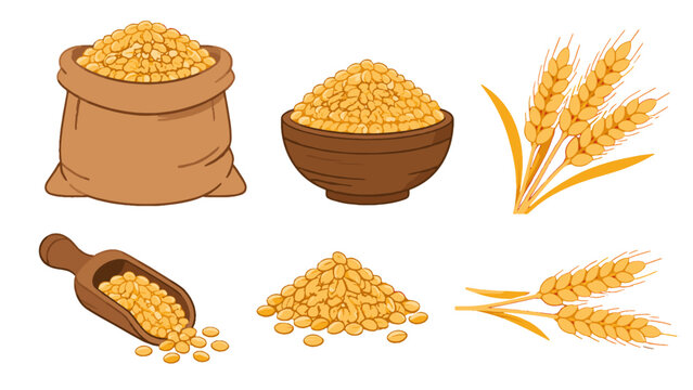 Set of wheat grains in sack bowl scoop and ears illustration