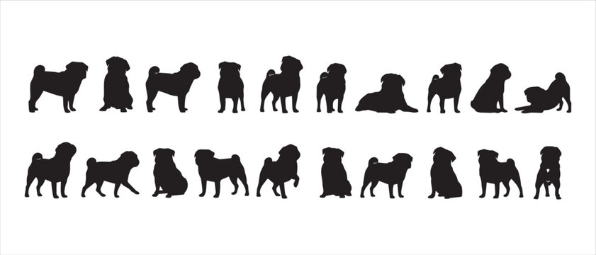 Collection of pug dog silhouettes showing different postures and movements in vector format