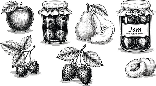 Hand drawn vector illustration collection of homemade fruit jam jars apple pear strawberry plum cherry in vintage sketch style