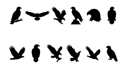 Fototapeta premium Eagle Silhouettes Collection, Majestic Bird Icons, Wildlife Vector Graphics, Freedom Symbol Art