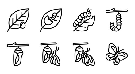 Butterfly Life Cycle Icons, Metamorphosis Stages Vector Set, Insect Transformation Graphics © Khusbo