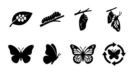 Butterfly Life Cycle Icons, Insect Metamorphosis Vector Set, Nature Transformation Stages © Khusbo