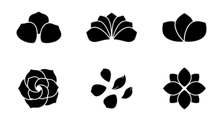 Fototapeta premium Black Silhouette Succulent Icons, Minimalist Plant Graphics, Organic Floral Vector Set