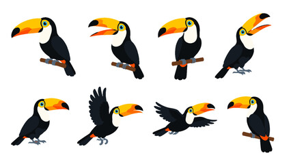 Obraz premium Set of cartoon toucan birds in different poses