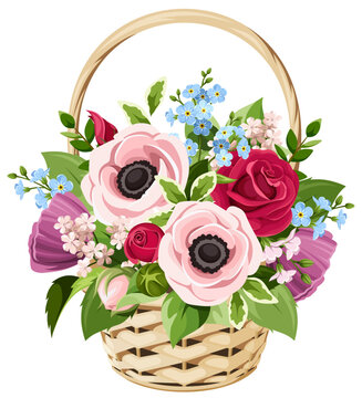 Basket with colorful flowers. Bouquet of pink, red, purple, and blue anemones, roses, and forget-me-not flowers isolated on a white background. Vector illustration 