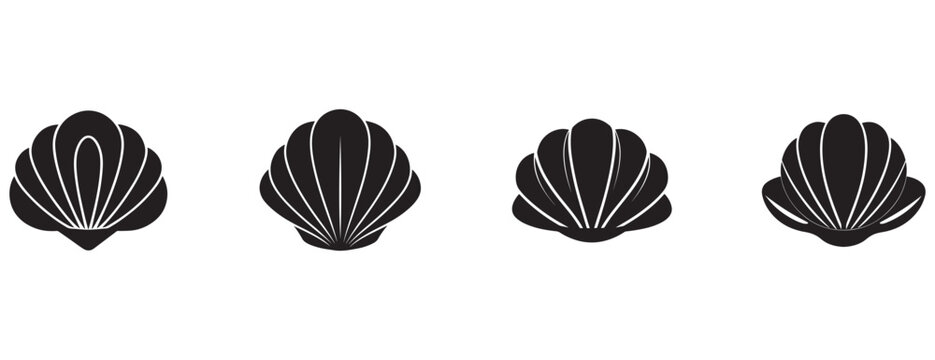  scallop seashells with white lines on a plain white background for design and decoration purposes  shell collection