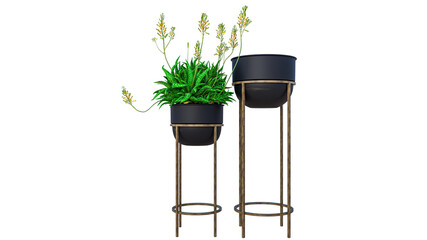 Two green aloe plants with yellow flowers in black pots on modern stands isolated transparent. © ArchZone BD