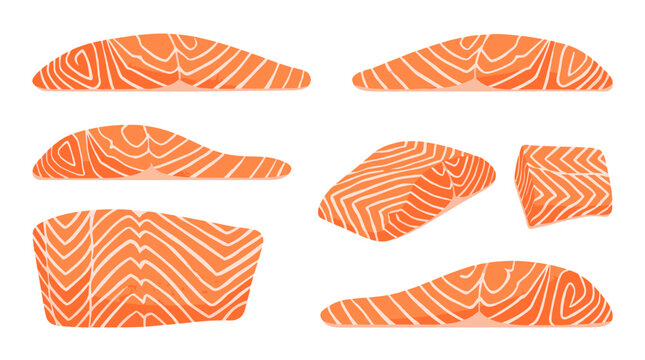 Vector set of salmon fillet cuts with striped texture