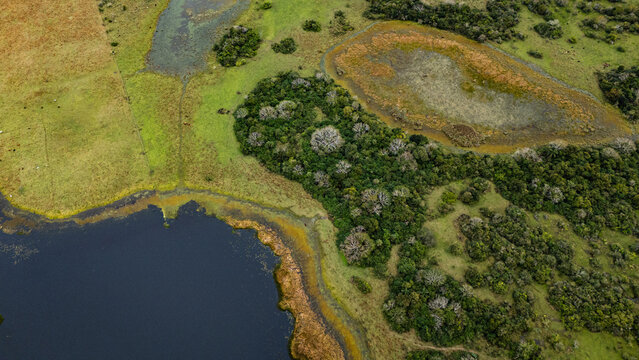Aerial view of wetland mosaic with lagoon, marsh, tree clusters and grassland near San Luis del Palmar, Corrientes, Argentina