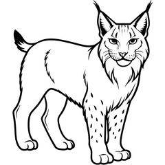 Fototapeta premium Black and white line art illustration of a lynx