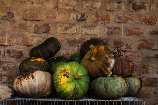 Pile of harvested squashes and heirloom pumpkins stacked against an exposed brick wall.