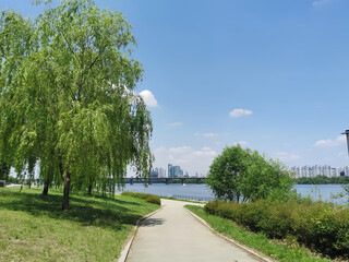 Obraz premium Peaceful walking path in a riverside park with green trees along the Han River in Seoul.