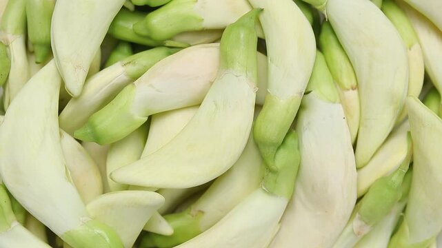 Pile of fresh white vegetable hummingbird flowers or Agati slowly rotating. Top view