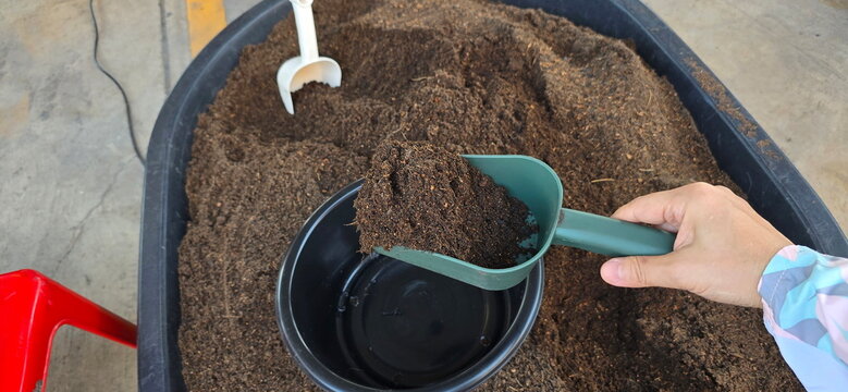 The gardener uses a green spoon to scoop up nutrient-rich soil into small pots before planting the plants. Mix the soil with coconut husks, fertilizer, rice husks, compost, and 1 part bamboo leaves. 
