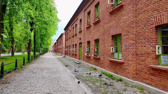Stroll along the alley at Księży Młyn in Ł&oacute;dź, video showing historic red brick industrial architecture, green windows, cobblestone path, rows of lush trees, pigeons, and daytime heritage site atmosph