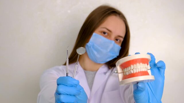 A dentist shows a model of a jaw. Selective focus.