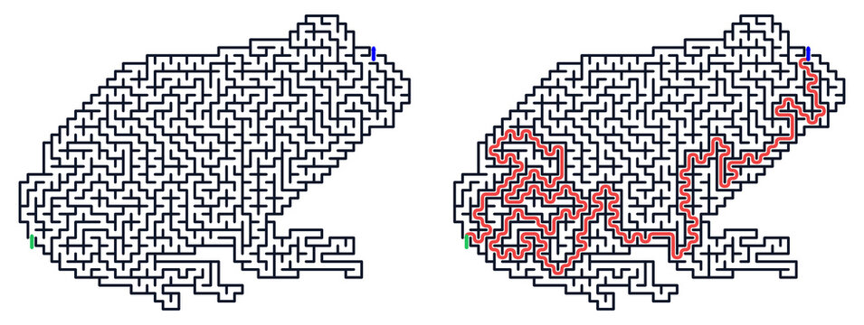 Logic game with labyrints,Maze game,Maze Puzzle foor kids,Labyrinth With Entry And Exit,Maze For Activiity Book,Puzzle Labyrinth, Frog maze puzzle with pathway solutions in red and blue colors  