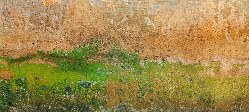 Old weathered concrete wall with green moss and peeling paint, creating a natural grunge texture background. Ideal for vintage, abstract, construction, and design projects.