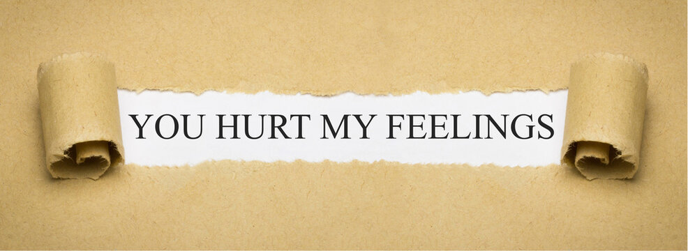 You Hurt My Feelings
