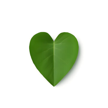 Minimalist 3D render of a single green heart shaped leaf isolated on solid white background.