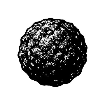 Black and white vector illustration of a single textured round meatball or food item isolated on a plain white background for culinary design