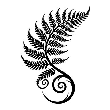 Black and white vector illustration of a single silver fern frond with a curled koru spiral base isolated on a plain white background