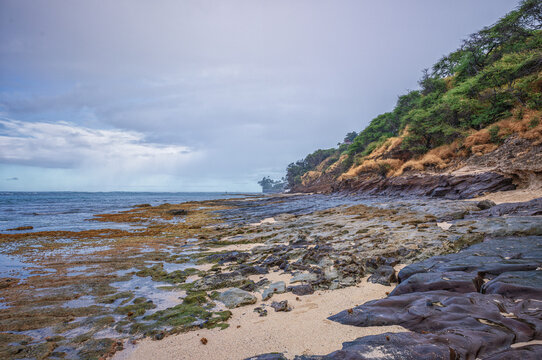 Rainy Morning On a Lava and Coral Beach in East Honolulu Hawaii.