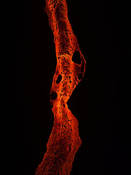Aerial view of the glowing lava flow from the Litli-Hrutur volcanic eruption with molten rock textures against a dark background in Grindavik, Grindavikurbaer, Iceland.