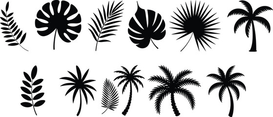Tropical palm leaves and trees black silhouettes vector set featuring monstera fern and coconut branches isolated on white background © Tanzila