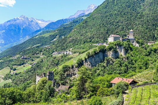 Dorf Tirol, Schloss Tirol, Algund, Weinberg, Weinpergola, Landwirtschaft, Wanderweg, Waalweg, Vinschgau, S&uuml;dtirol, Texelgruppe, Fr&uuml;hling, Sommer, Italien