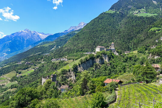 Dorf Tirol, Schloss Tirol, Algund, Weinberg, Weinpergola, Landwirtschaft, Wanderweg, Waalweg, Vinschgau, S&uuml;dtirol, Texelgruppe, Fr&uuml;hling, Sommer, Italien