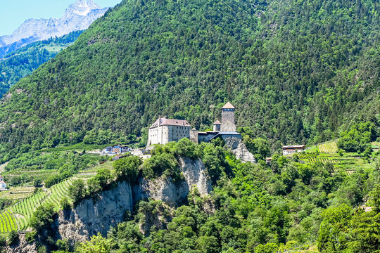 Dorf Tirol, Schloss Tirol, Algund, Weinberg, Weinpergola, Landwirtschaft, Wanderweg, Waalweg, Vinschgau, S&uuml;dtirol, Texelgruppe, Fr&uuml;hling, Sommer, Italien