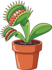 Carnivorous venus flytrap plant in pot vector illustration © Rubi