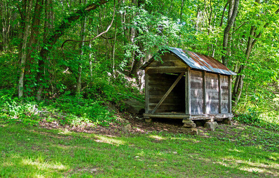 Rustic shed inthe woods
