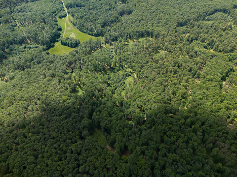 Aerial view of the dense green forest canopy at Bohunicky Rohac in Stiavnicke Vrchy with a small clearing and winding path Bohunice, Nitra Region, Slovakia.