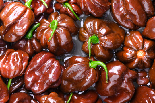 Chocolate habanero peppers densely filling frame creating rich brown food texture. Spicy chili background, fresh produce, seamless pattern