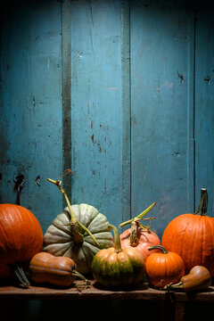 Assortment of pumpkins on rustic wooden table against blue wall in moody lighting. Autumn harvest composition with squash and seasonal vegetables
